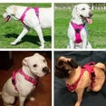 thumbnail image 5 of Reflective Adjustable Breathable Vest Chest Strap for Small Medium Large Dogs Pet Dog Harness Cat Puppy Collar Dog Accessoires, 5 of 9
