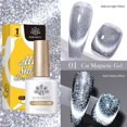 thumbnail image 1 of BORN PRETTY 10ml Gel Magnético Gato Reflectante Purpurina Semi Permanente Remojo UV LED Barniz, 1 of 4