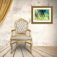 thumbnail image 3 of Pfrommer, Sven 18x15 Gold Ornate Wood Framed with Double Matting Museum Art Print Titled - Evergreen No. 6, 3 of 4