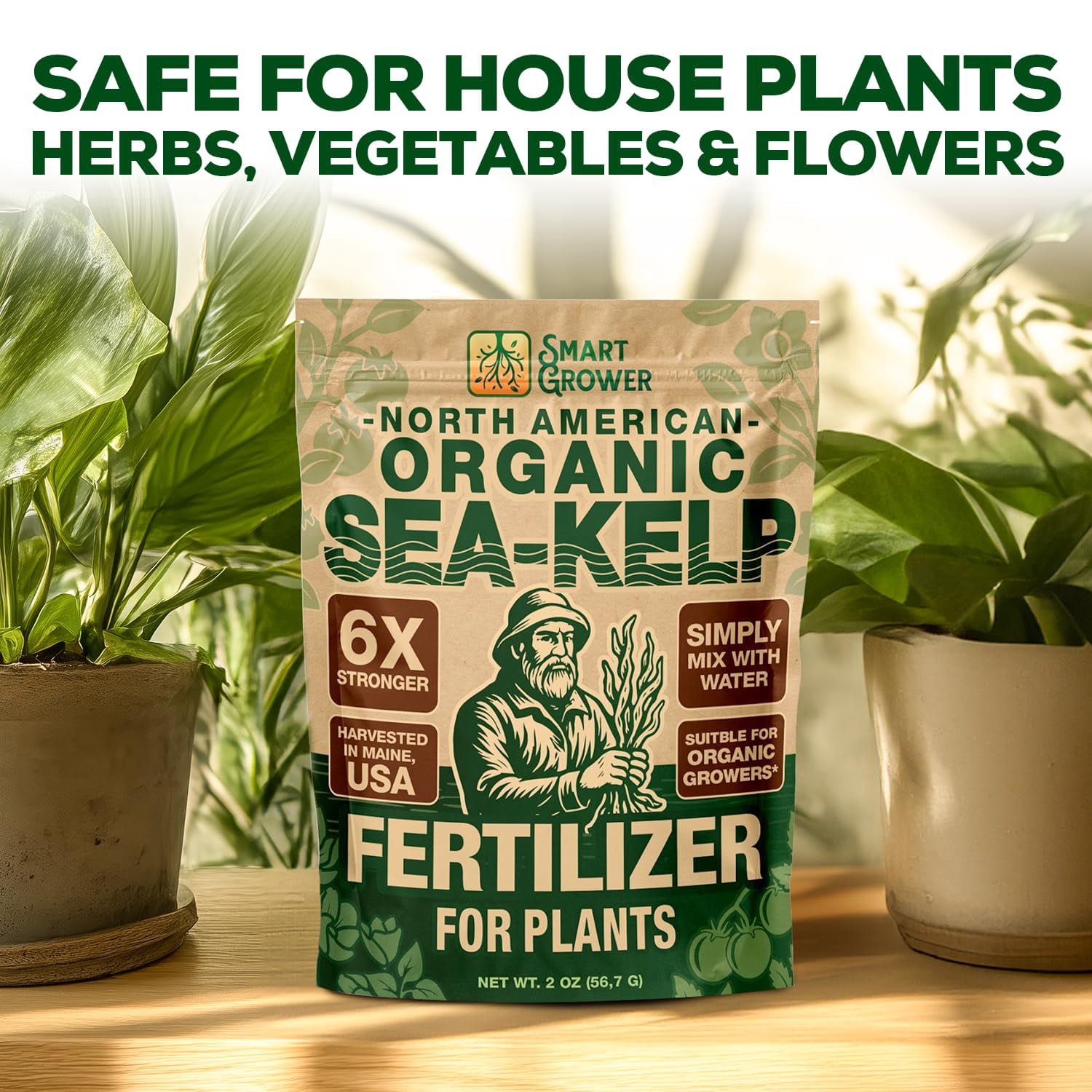 Organic Sea Kelp Fertilizer for Plants – Water-Soluble – Makes 50 Gallons – Kelp Meal Concentrate Plant Food – for Indoor Gardens, Hydroponics, Vegetables, Houseplants - - 2oz Bag