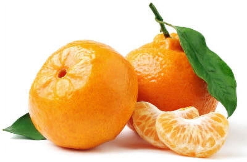Tangerine Essential Oil - 100% Pure and Natural by Silky Scents