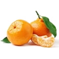 thumbnail image 3 of Tangerine Essential Oil 1 fl oz (30 ml) - 100% Pure and Natural by Silky Scents, 3 of 5