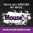 thumbnail image 4 of MouseX Non-Toxic Rodent Killer Pellets for Rats and Mice, 5oz, 4 of 7