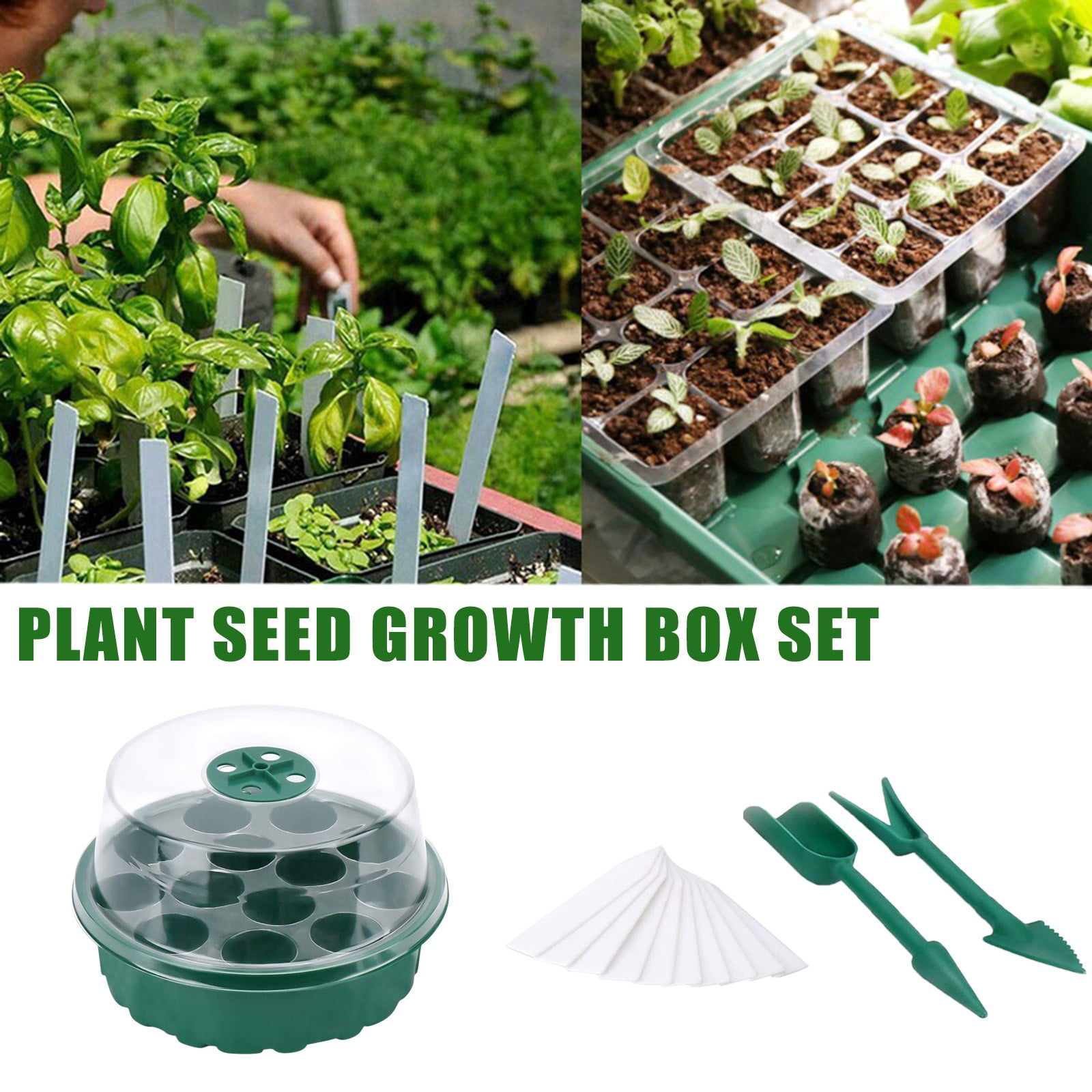 Teissuly 1set Seed Planting Seed Planting Tray,Humidity Dome and Base