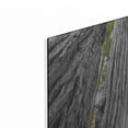 thumbnail image 2 of Luxe Metal Art 'Redwoods Forest IV BW With Color' by Alan Majchrowicz, Metal Wall Art, 16"x12", 2 of 7