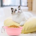 thumbnail image 5 of Reheyre Convenient Foldable Silicone Pet Bowl 600ML Capacity - Portable, Easy to Clean Cat and Dog Food Bowl - Pet Supply Essential, 5 of 6