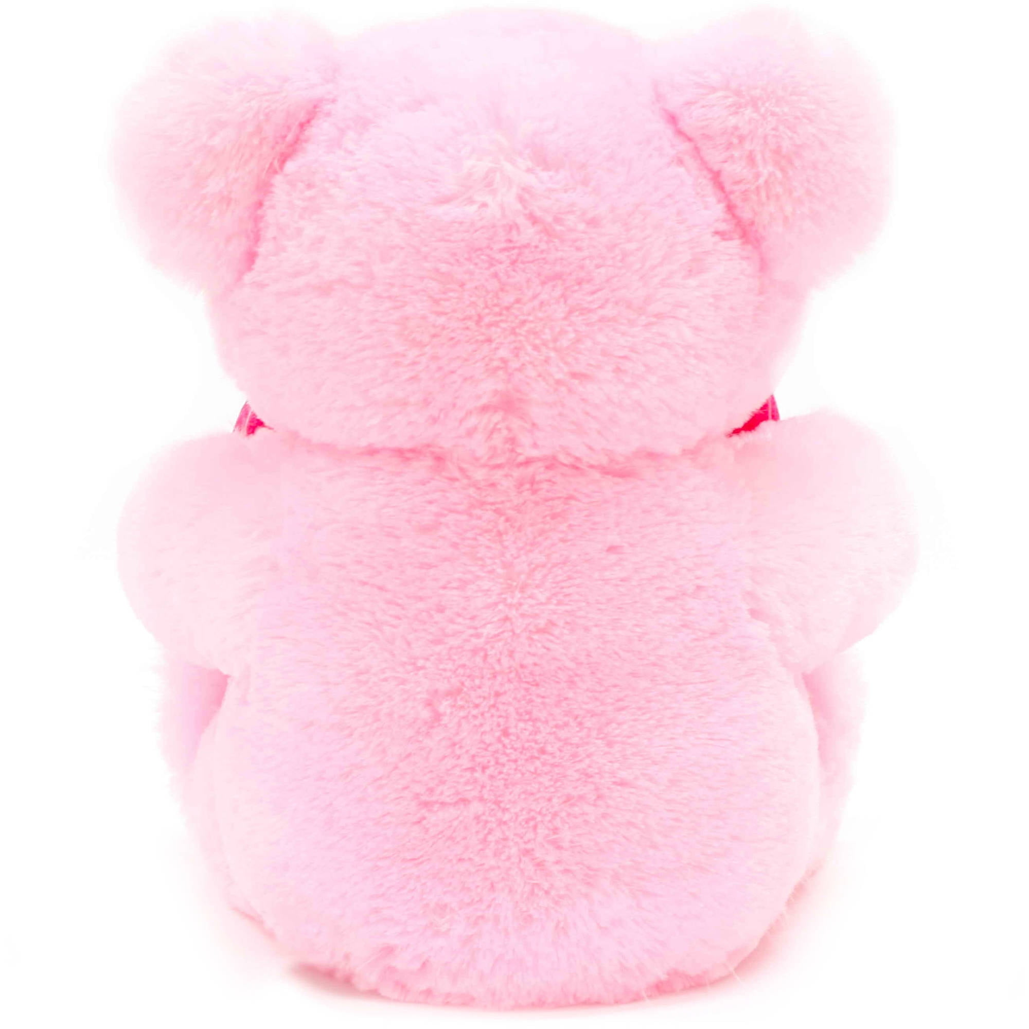 princess teddy bear walmart