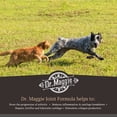 thumbnail image 3 of Dr. Maggie Joint Formula Liquid Supplement for Dogs & Cats, 480-mL bottle, 3 of 5