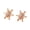 Rose Gold, variant on Star Stud Earrings Women Rhinestone Star Ear Studs Minimalist Sparkling Studs Daily Wear Party Jewelry Gift for Her