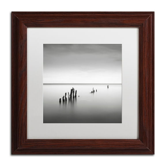 Trademark Fine Art "Slow Fade" Canvas Art by Dave MacVicar, White Matte, Wood Frame