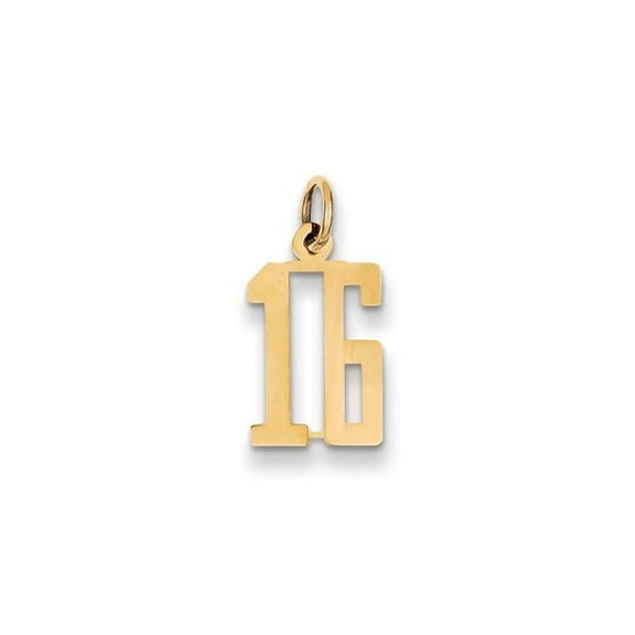 14K Yellow Gold Polished Finish Small Size Elongated Shape Number 16 Charm Pendant