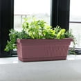 thumbnail image 5 of Bloem Amelia 18" Plastic Window Box Planter - Indoor/Outdoor, Fluted Texture, for Window Sills, Garden & Patio, Dusty Rose, 5 of 6