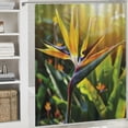 thumbnail image 6 of Orinice  Plant Shower Curtain, Close-up Image of Strelitzia Reginae Bird of Paradise Flower Madeira Island Portugal, Fabric Bathroom Decor Set with Hooks,  60x72, 6 of 7