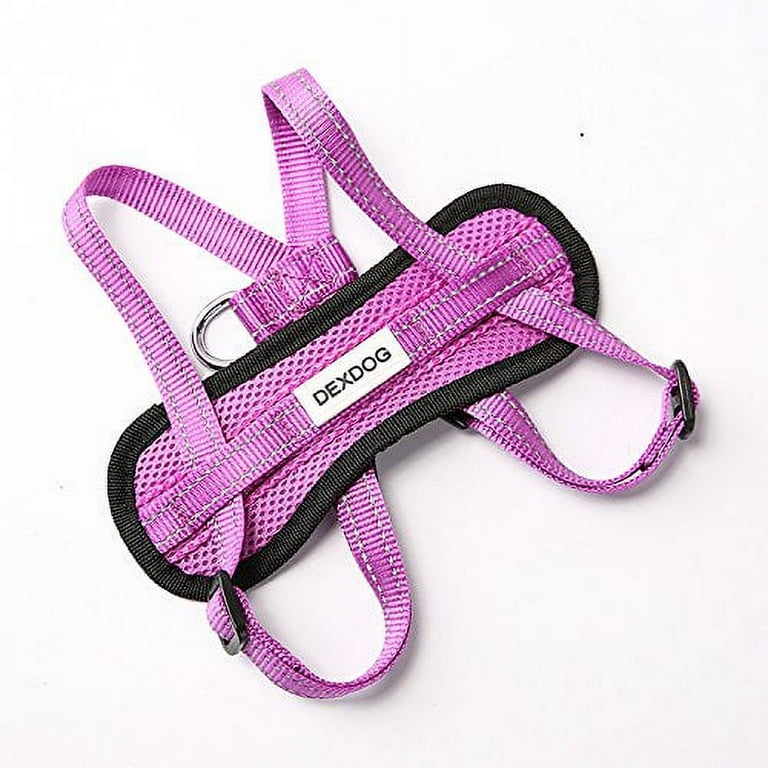 Dexdog ez harness online