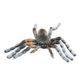 thumbnail image 2 of Decoración de araña de Halloween, simulación de araña de Halloween, arañas realistas falsas, modelo de simulación de araña confiable y duradera, 2 of 9