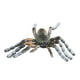 thumbnail image 2 of Decoración de araña de Halloween, simulación de araña de Halloween, arañas realistas falsas, modelo de simulación de araña confiable y duradera, 2 of 9