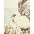 thumbnail image 2 of Edward Julius Detmold 20x24 Gold Ornate Framed and Double Matted Museum Art Print Titled - The Gannet (1912), 2 of 4