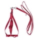 thumbnail image 4 of IDEANATEGRATE Arnés Para Loro En Con Correa Y Ajustable Para Paseos Exteriores, 4 of 6