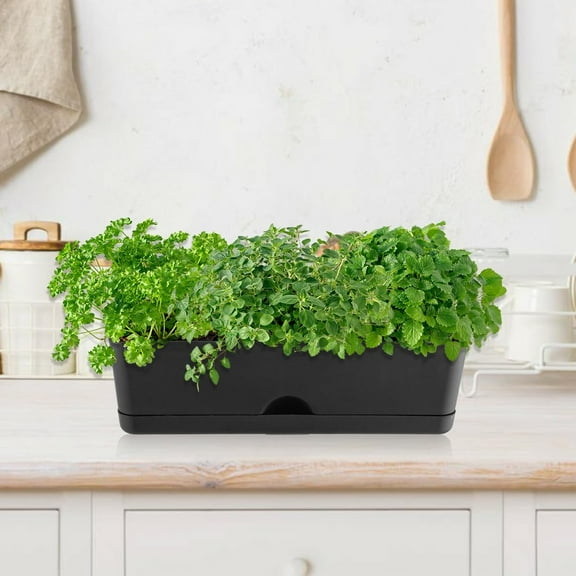 6 Pack Rectangle Planter - 16x4.4 Inch Window Boxes Planters, Black, Self-Watering with Drainage Holes and Saucers for Indoor Herbs, Succulents, Flowers