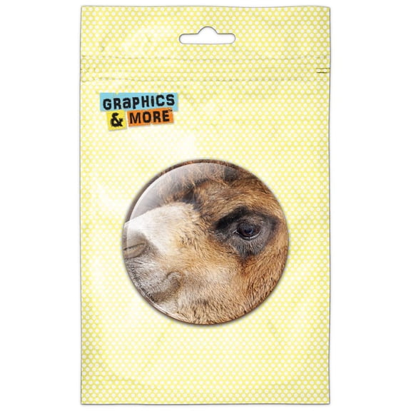 Camel Close Up Refrigerator Button Magnet