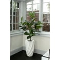 thumbnail image 3 of Real touch 54" fake Rubber tree, 3 of 8