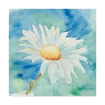 Trademark Fine Art 'Daisy Sunshine II' Canvas Art by Regina Moore