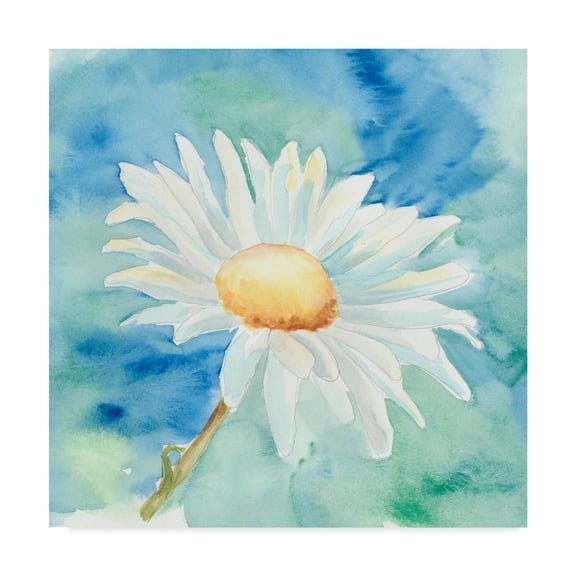 Trademark Fine Art 'Daisy Sunshine II' Canvas Art by Regina Moore