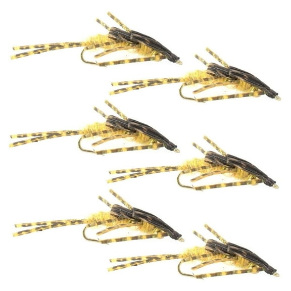 Stonefly Nymph Fly Fishing Flies - Golden Stone - Barred Legs - Size 6 - 6 Flies Hook Size 6