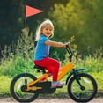 thumbnail image 2 of Miangastore 1 Set Bike Safety Flag Fiberglass Pole Children's Tail Triangular Flag, 2 of 9