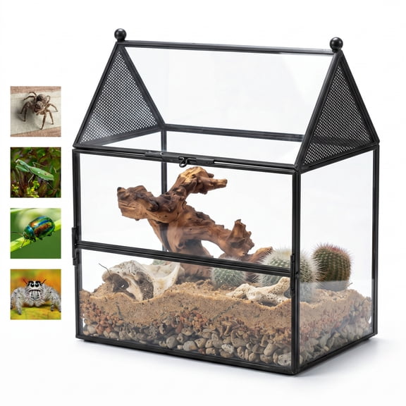 NCYP Glass Enclosure with Vent Holes for Jumping Spiders - 7.5" x 4.9" x 9", Small Closed Front Opening Terrarium,  Home Decor Black (No Plants)