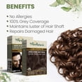 thumbnail image 3 of byPurenaturals 100% Natural Dark Brown Powder Hair Color For Men Women 60gm, 3 of 6