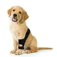 thumbnail image 7 of BaoGuai Knee Brace for Dogs ACL with Side Stabilizers,Knee Cap Dislocation, Arthritis - Keeps The Joint Warm and Stable - Extra Support - Reduces Pain and Inflammation - 7Sizes (M), 7 of 7