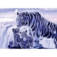 thumbnail image 2 of CafePress - White Tigress And Her Cubs Magnets - Rectangle Magnet, 2"x3" Refrigerator Magnet, 2 of 3