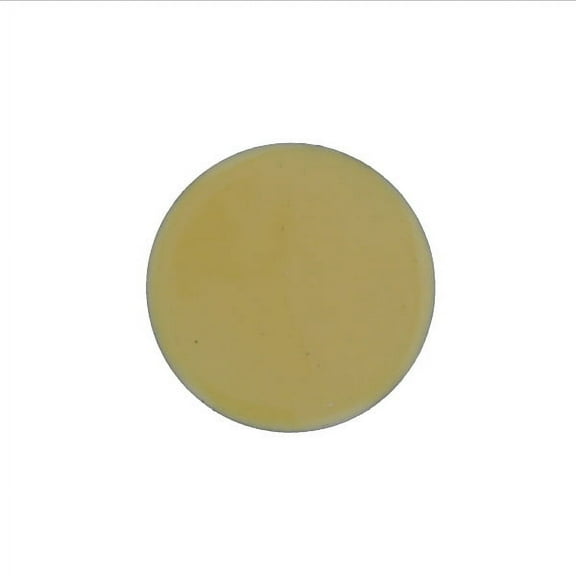 1238 Ivory Thompson Opaque Enamel 1 Ounce