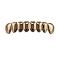 thumbnail image 5 of Set Parrillas de Diente para Hombre Parrillas para Halloween Accesorios Cosplay - oro and rosa - parrillas inferiores Rose Gold - Parrillas inferiores Fernando Parrillas Colmillos, 5 of 5