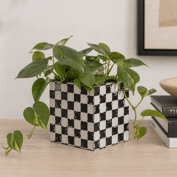 7" x 6" Wood Planter Box — Checkerboard