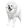 thumbnail image 1 of Houderco De Perro En PVC Para De Escritorio Y, 1 of 8