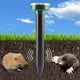 thumbnail image 3 of JShteea 4 Uds. Repelente Ultrasónico Solar Ratones Disuasorio Espantapájaros para Jardín Granja, 3 of 7