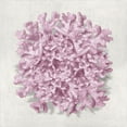 thumbnail image 2 of Kelly, Caroline 20x20 White Modern Wood Framed Museum Art Print Titled - Coral Blush II, 2 of 4