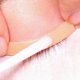 thumbnail image 4 of 12 pares de juntas de pestañas de planchado Pestañas Pastillas de extensión Maquillaje Herramientas de belleza, 4 of 6