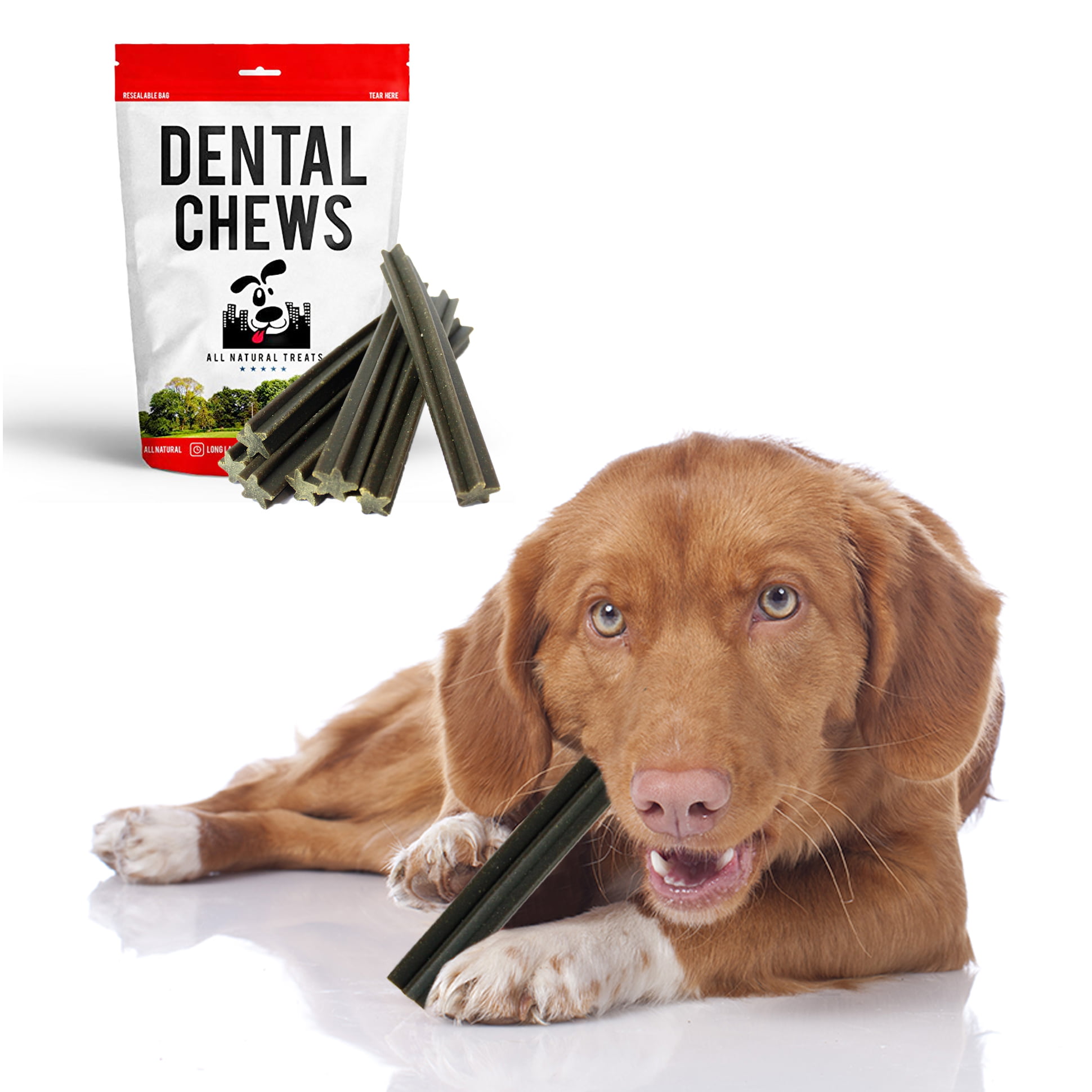 USA Made 6" Green Dental Chew Sticks Treats for Dogs Protein Peppermint