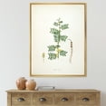 thumbnail image 2 of Ancient Blossoming Flower III 16" x 32" Framed Painting Canvas Art Print, by Designart, 2 of 2