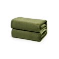 thumbnail image 1 of Brooklyn Jax Solid Plush Fleece Queen Blanket, Olive Green color, 1 of 6