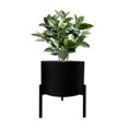 thumbnail image 2 of Blooms Planter Stand Black, 2 of 3