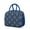 Blue-13, variant on Stripes Insulated Lunch Box - Splash-Proof & Easy to Clean, Spacious for Meal Preppers (Retro Rustic)
