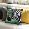 thumbnail image 3 of Patifu Zebra and giraffe print pillowcase for farmhouse home décor 22x22in, 3 of 5
