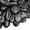 Black, variant on White River Rocks 10lbs, 2-3 Inch Large Pebbles for Indoor Plants, Natural High Polished Decorative Stones for Vase Filler Fish Tank