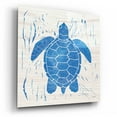 thumbnail image 2 of Epic Art 'Sea Creature Turtle Blue' by Courtney Prahl, Acrylic Glass Wall Art, 12"x12", 2 of 8