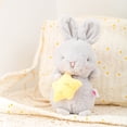 thumbnail image 2 of Creative Toy Star Carrot Rabbit Doll Bunny Plush Toy Baby Comfort Doll, 2 of 3