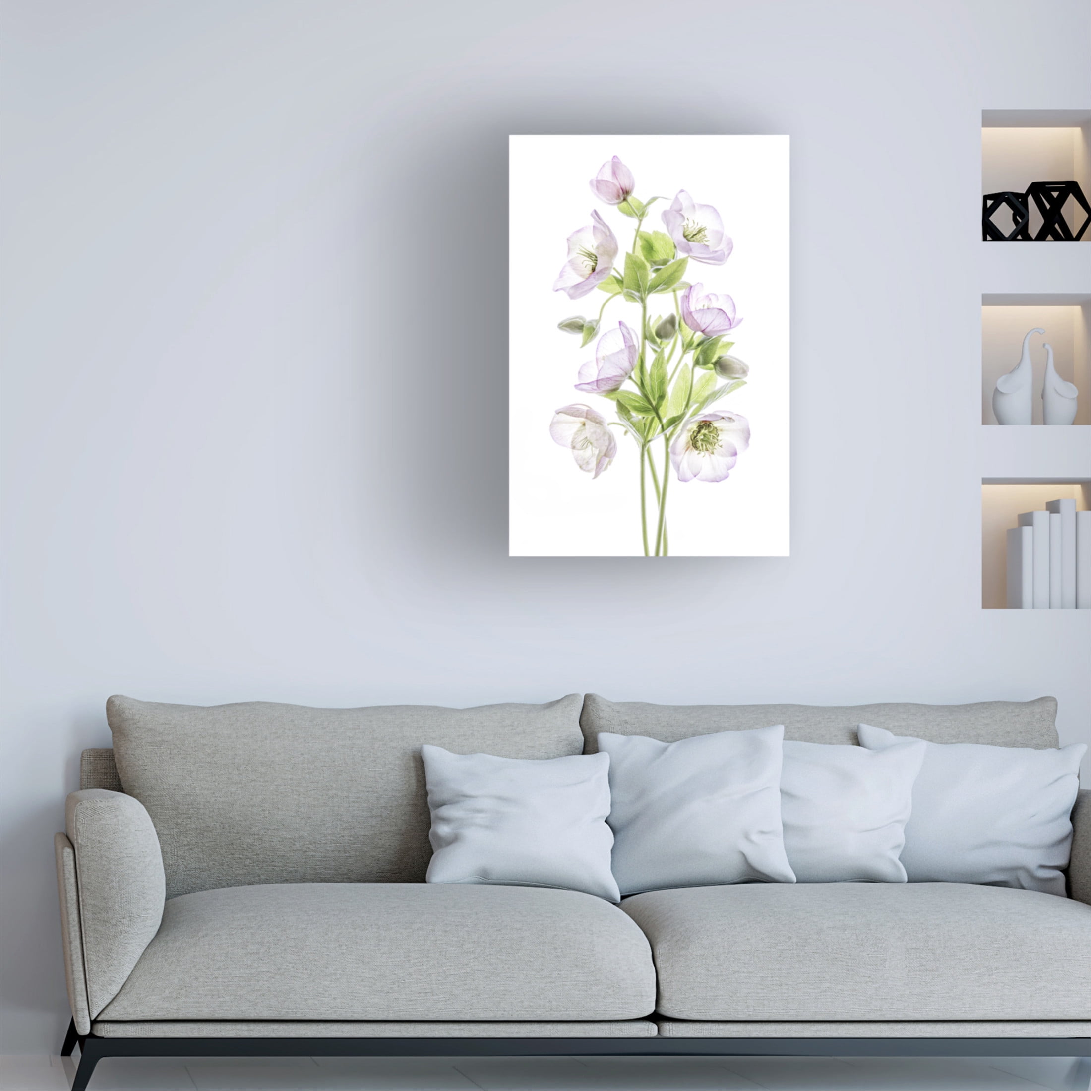 Canvas Wall Art - Mandy Disher 'Hellebore' Wall Art for Living Room, Bedroom, or Office Décor by Trademark Fine Art - 30 x 47 Inches